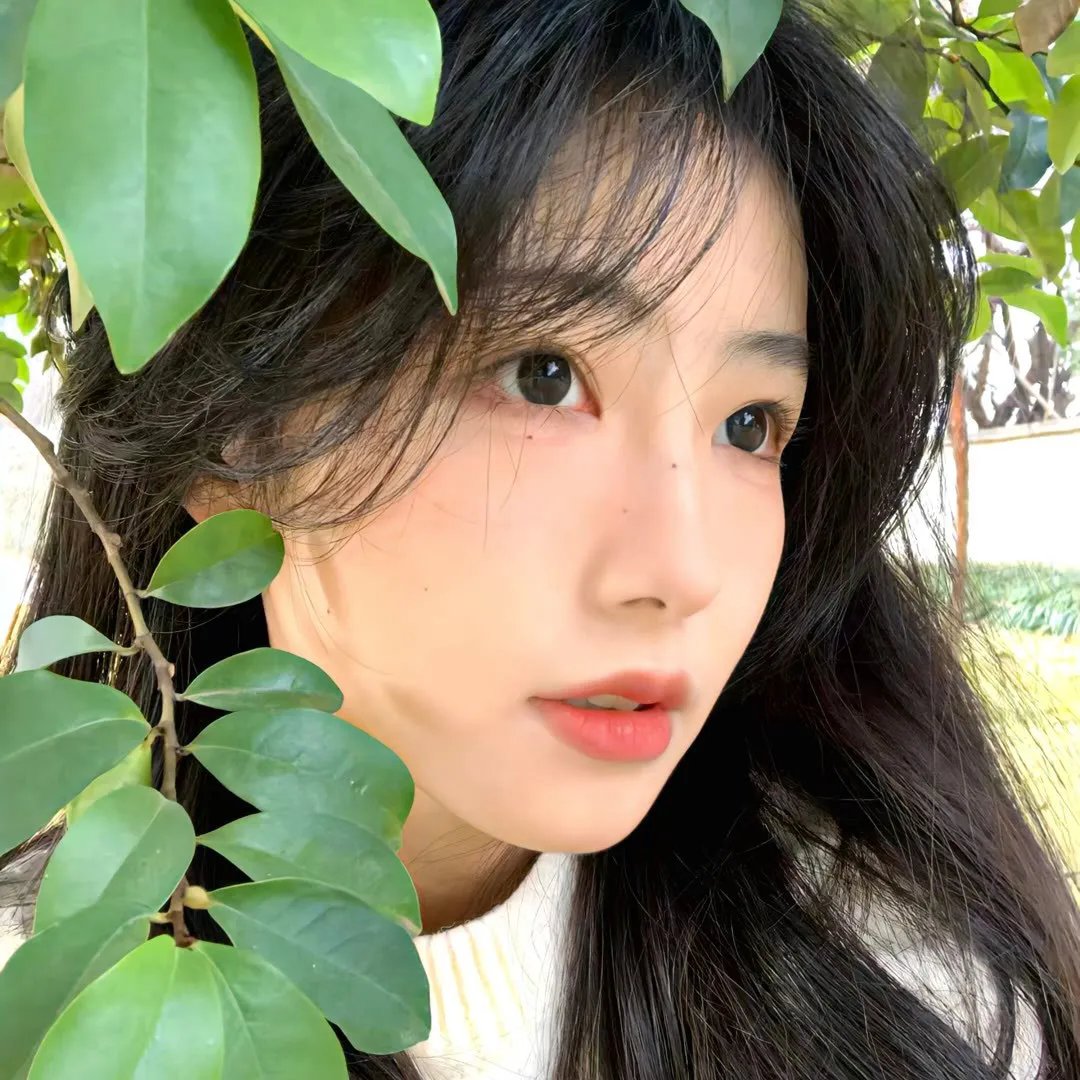 瓢虫少女第一季